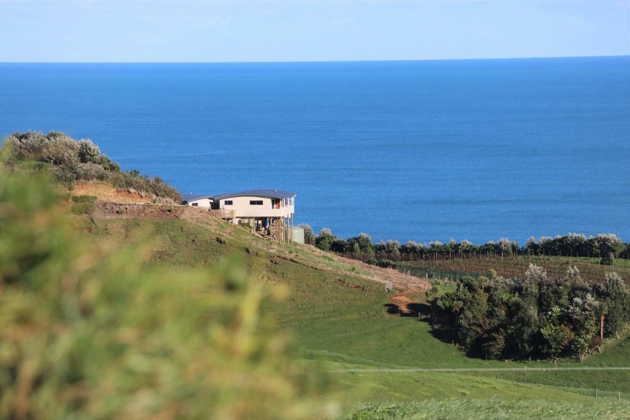 Chalets At Okurukuru Διαμέρισμα Νιου Πλύμουθ Εξωτερικό φωτογραφία